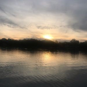 Meet your Posher, Misty